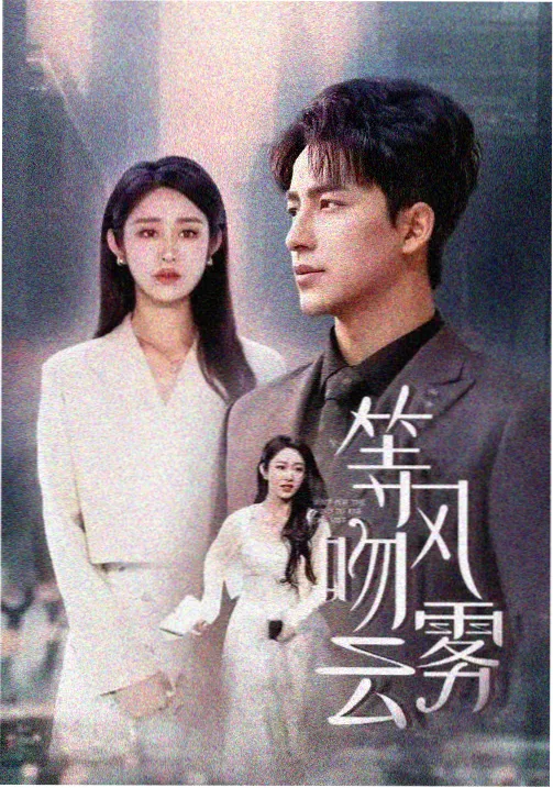 我选择了不结婚 丈夫升职妻子日剧推荐电影